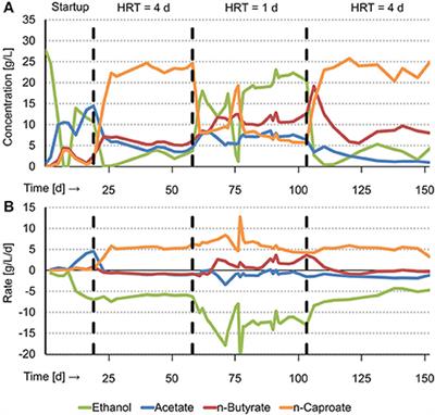 Development of an Effective Chain Elongation Process From Acidified Food Waste and Ethanol Into n-<mark class="highlighted">Caproate</mark>